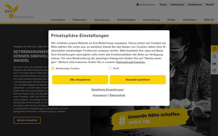 Snímek obrazovky bkk-dachverband.de