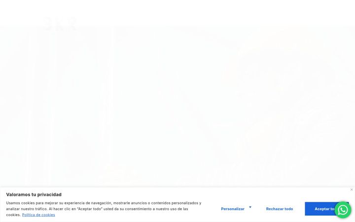 Capture d'écran de bkrconstruccion.com