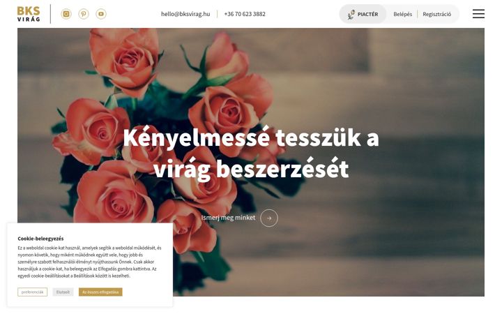Screenshot of bksvirag.hu