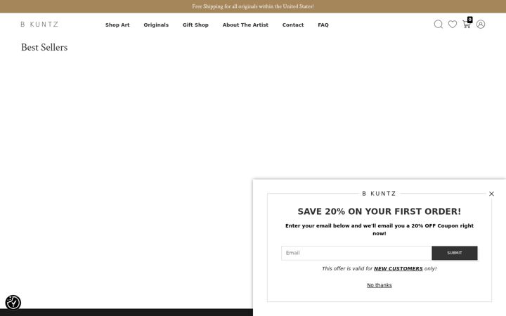 Screenshot van bkuntz.com
