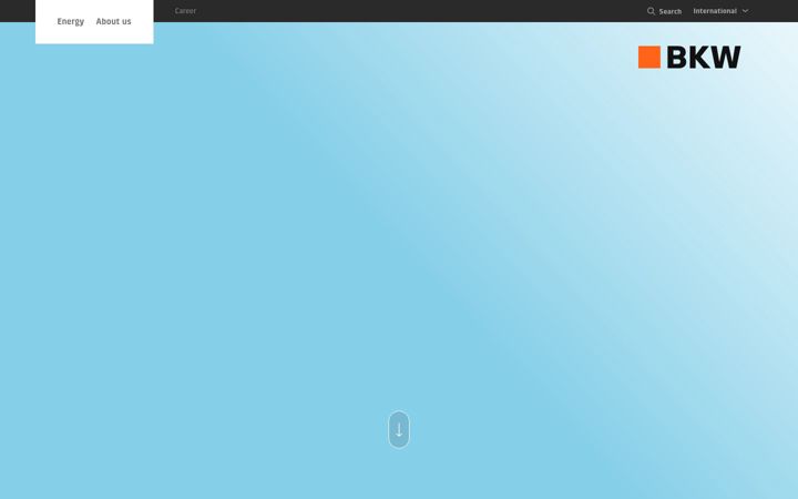 Screenshot of bkw.com