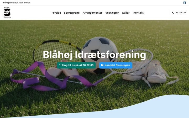 Screenshot of blaahoejif.dk