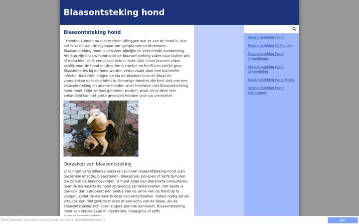 Captura de pantalla de blaasontstekinghond.nl