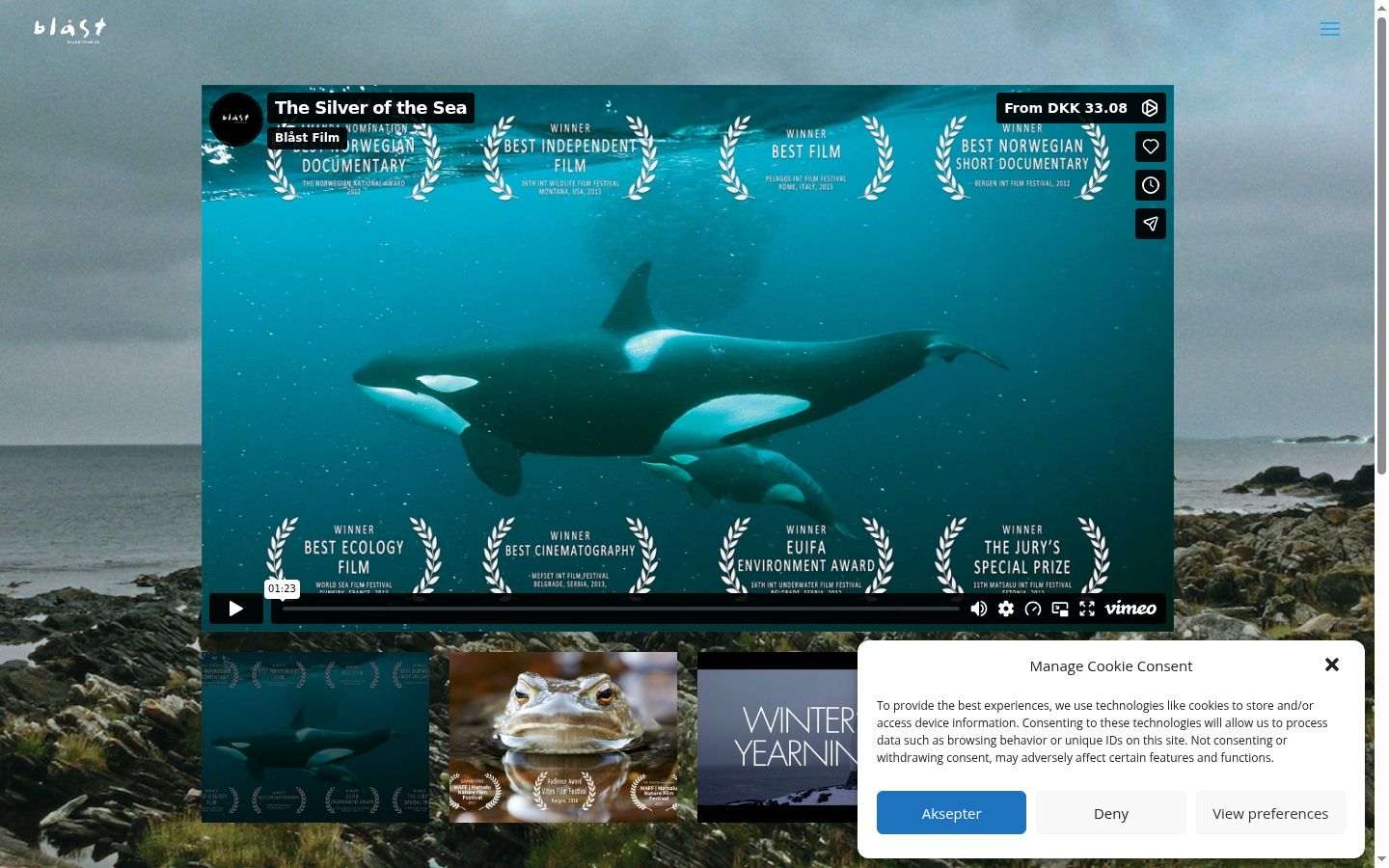 Screenshot του banner συγκατάθεσης που εμφανίστηκε πριν από οποιαδήποτε αλληλεπίδραση