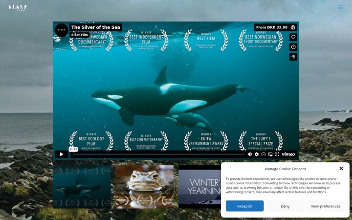Screenshot of blaastfilm.no