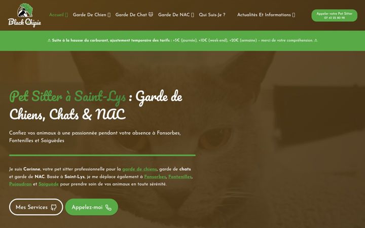 Screenshot van black-chipie.fr