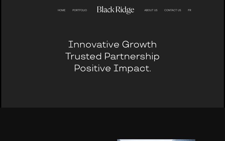 Screenshot of black-ridge.ca