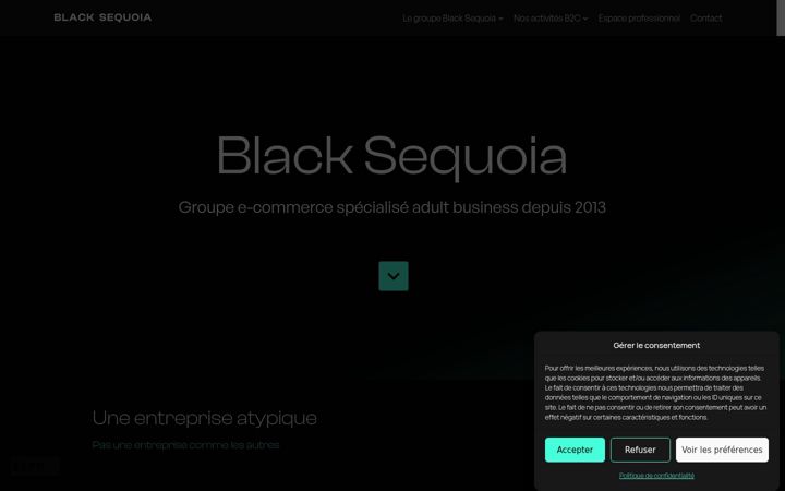 Screenshot of black-sequoia.com