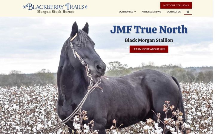 Skjermbilde av blackberrymorganhorses.com