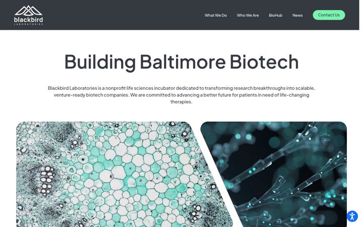 Screenshot von blackbirdlab.org