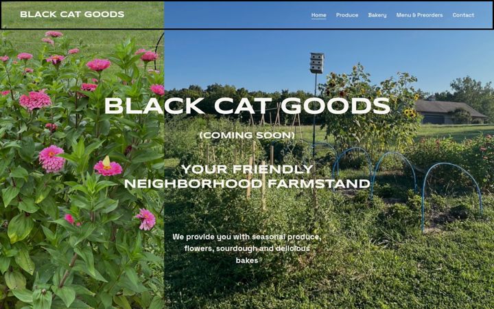 Screenshot of blackcatgoods.com