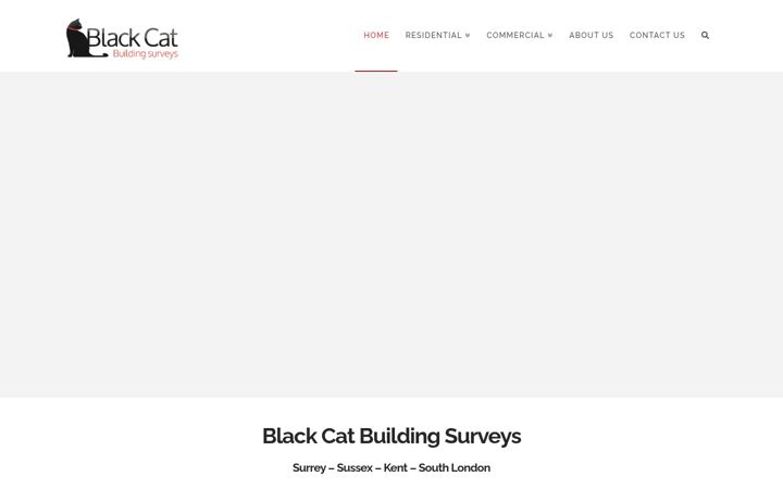 Capture d'écran de blackcatsurveys.com