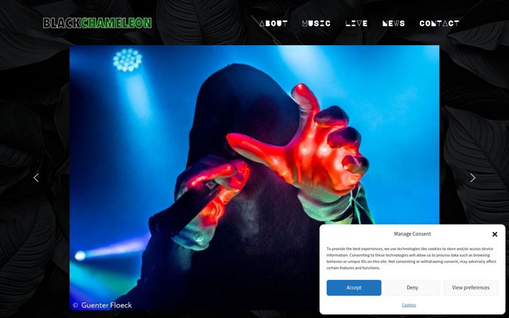 Screenshot of blackchameleon.at