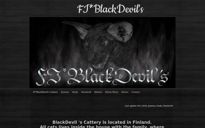 Screenshot of blackdevils.fi
