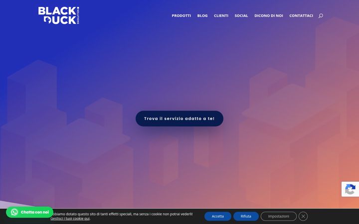 Screenshot of blackduck.solutions