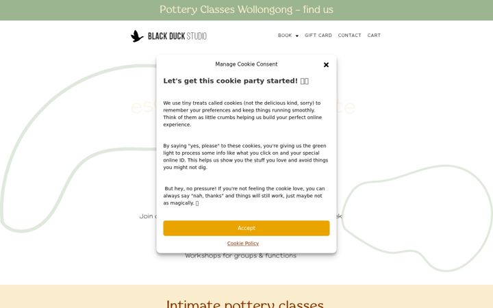 Screenshot of blackduckstudio.com.au