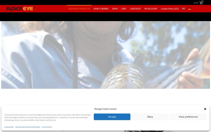 Screenshot of blackeyeusa.com