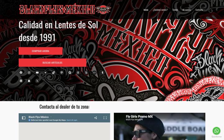 Screenshot di blackflysmexico.com.mx