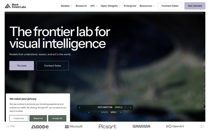 Screenshot of blackforestlabs.ai