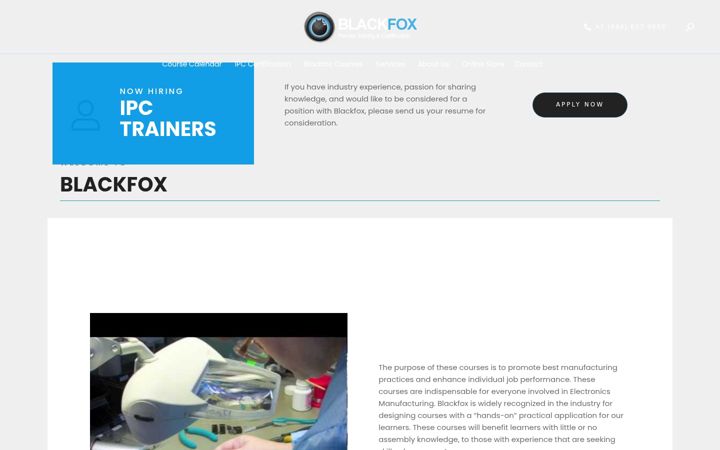 Screenshot of blackfox.com