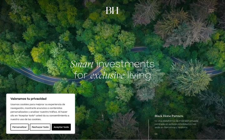 Screenshot di blackhorse-partners.com