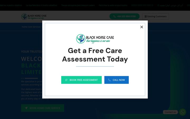 Screenshot of blackhorsecare.com