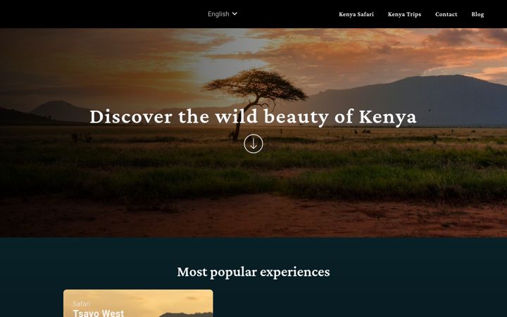 Screenshot of blackietours.com