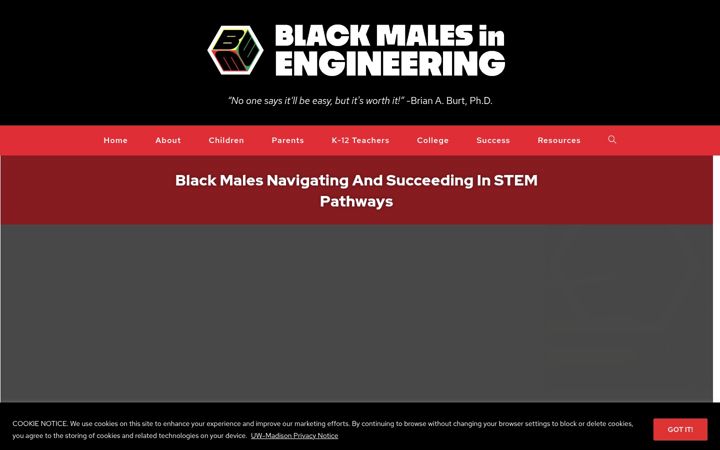 Screenshot of blackmalesinengineering.org
