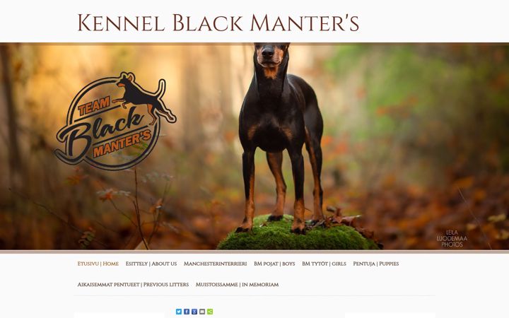 Screenshot of blackmanters.fi