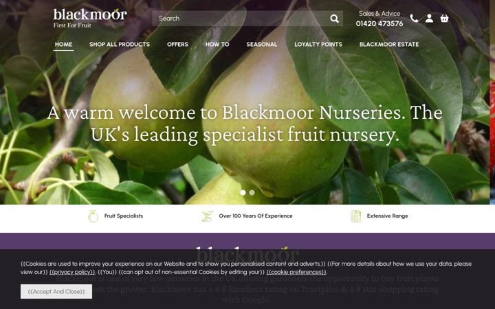 Screenshot of blackmoor.co.uk