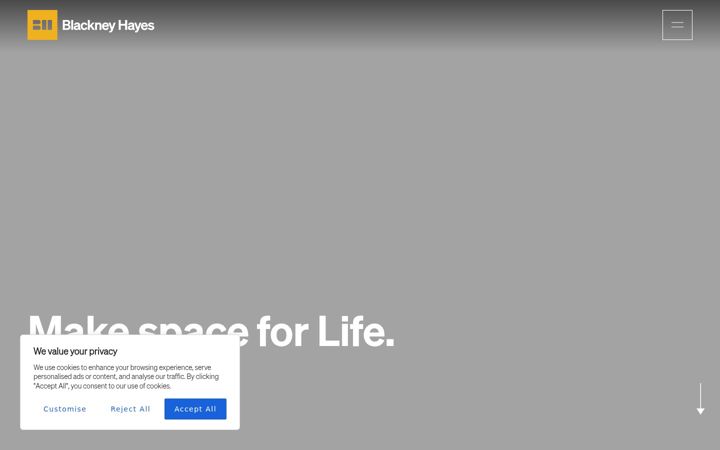 Captura de pantalla de blackneyhayes.com