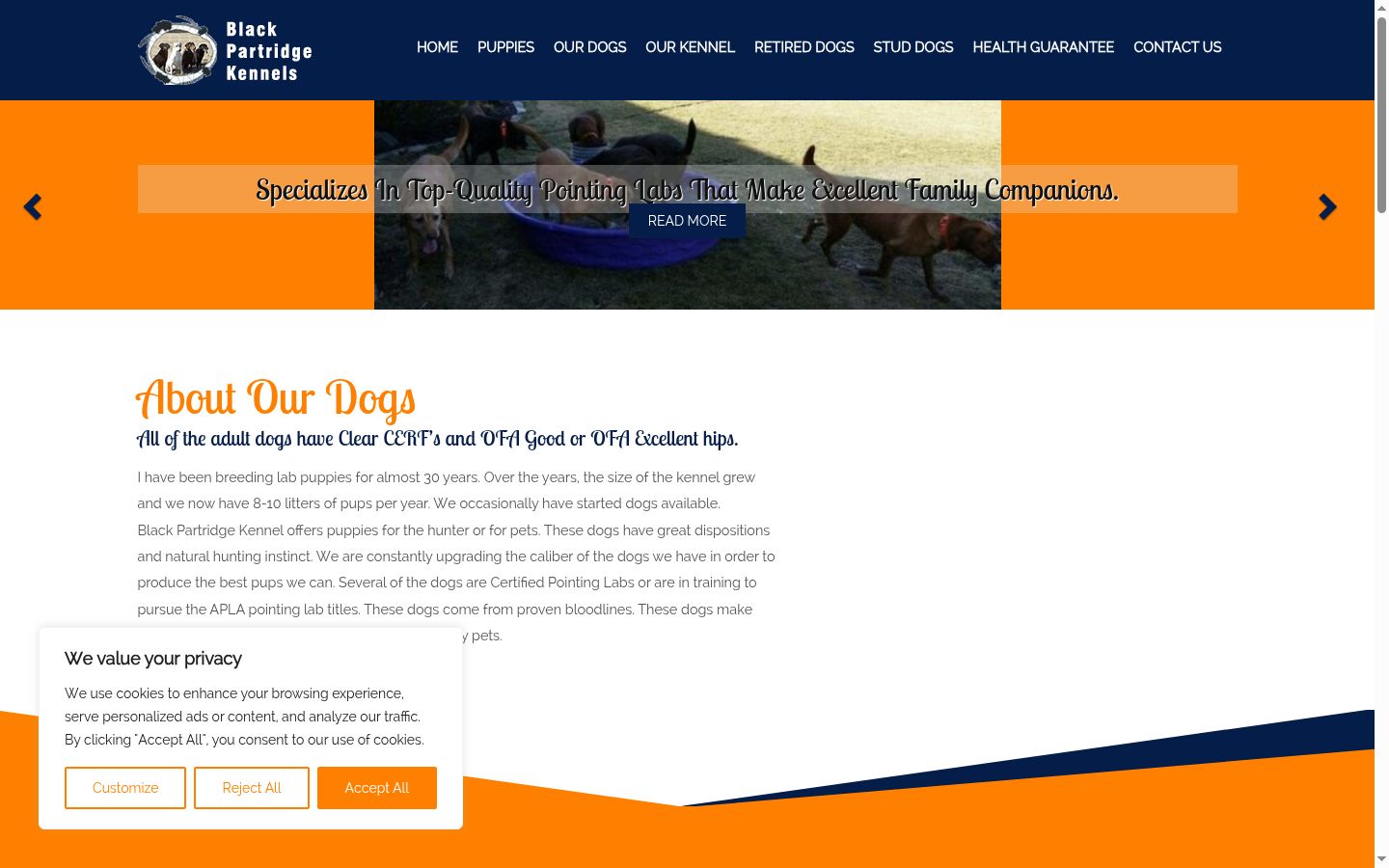 Screenshot tal-banner tal-kunsens muri qabel kwalunkwe interazzjoni