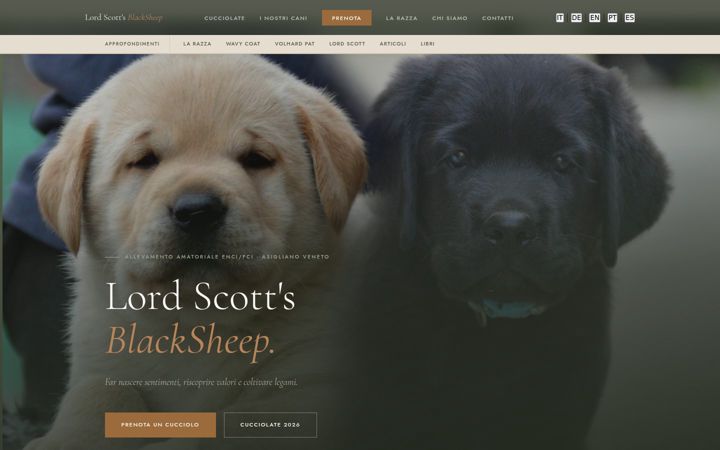 Screenshot of blacksheepretrievers.it