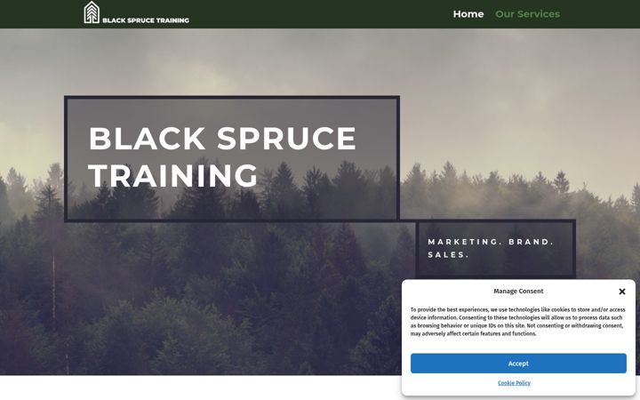 Screenshot of blackspruce.training