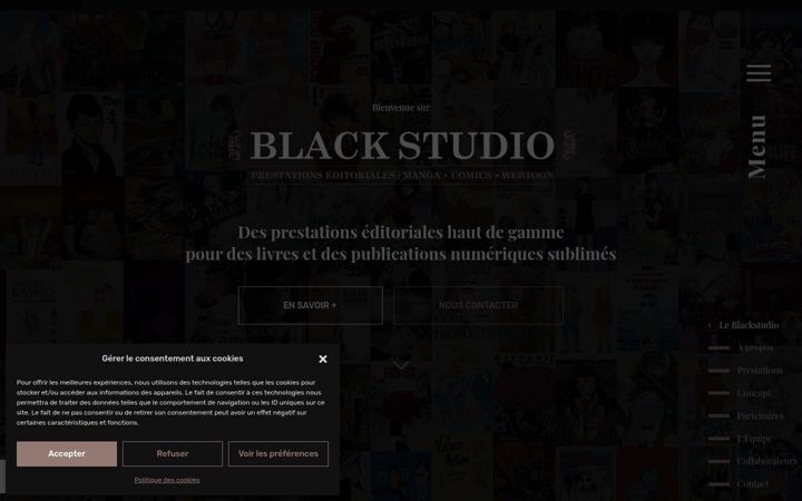 Posnetek zaslona blackstudio.fr