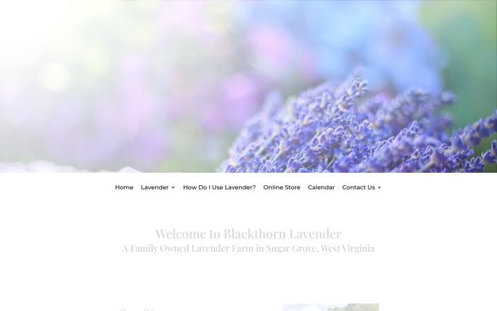 Screenshot ta' blackthornlavender.com