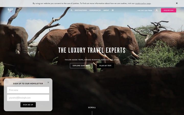 Screenshot of blacktomato.com