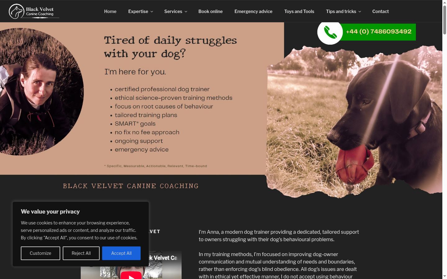 Screenshot of the consent banner shown before any interaction