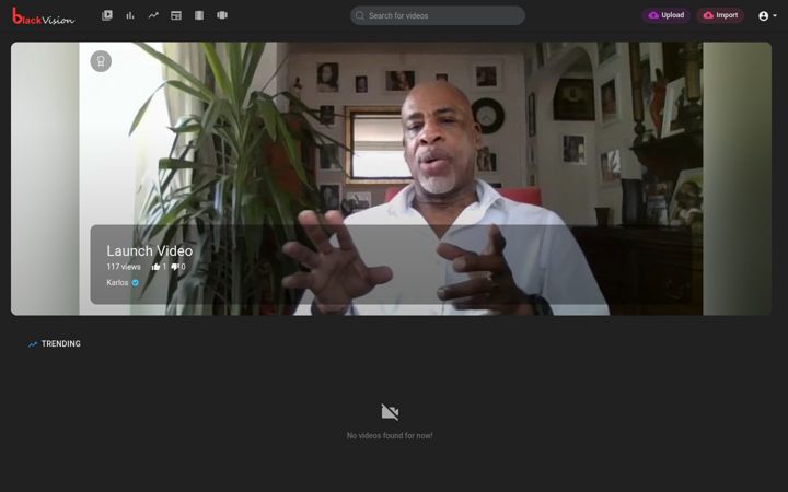 Screenshot of blackvision.co.uk
