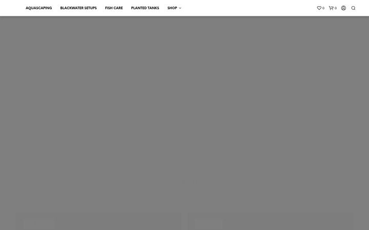 Zrzut ekranu blackwaterscaper.com