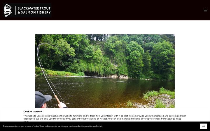 Zrzut ekranu blackwatertroutandsalmon.ie