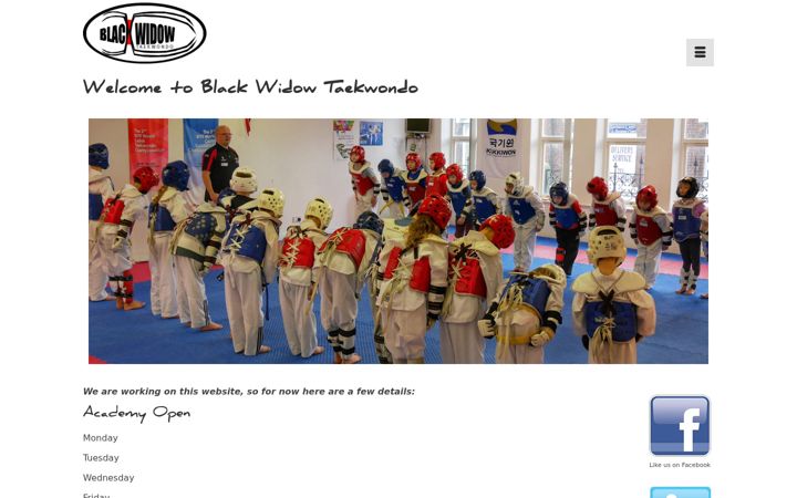 Screenshot of blackwidowtkd.com