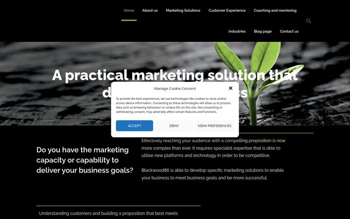 Screenshot of blackwood86.com