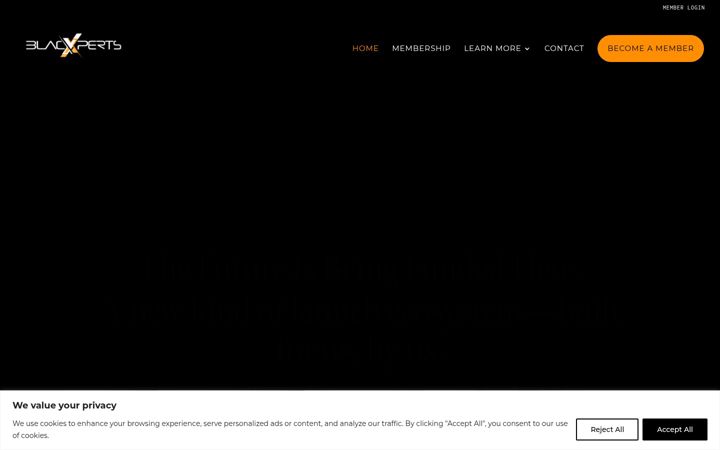 Screenshot of blacxperts.com
