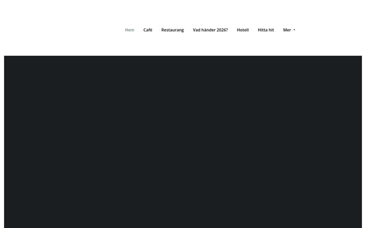 Screenshot of blaelefanten.com