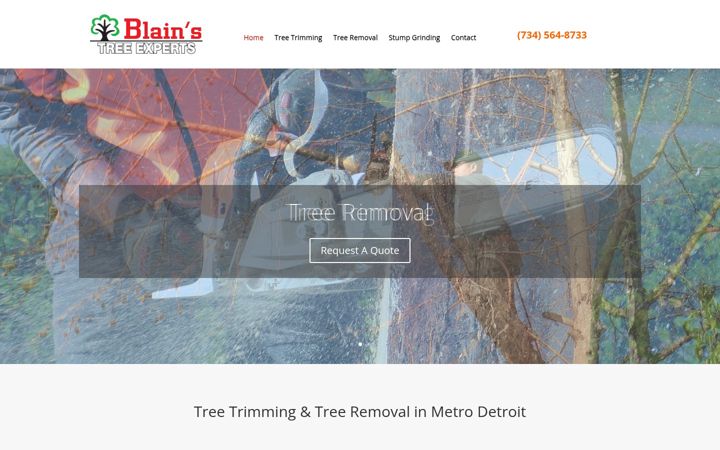 Screenshot of blainstreeexperts.com