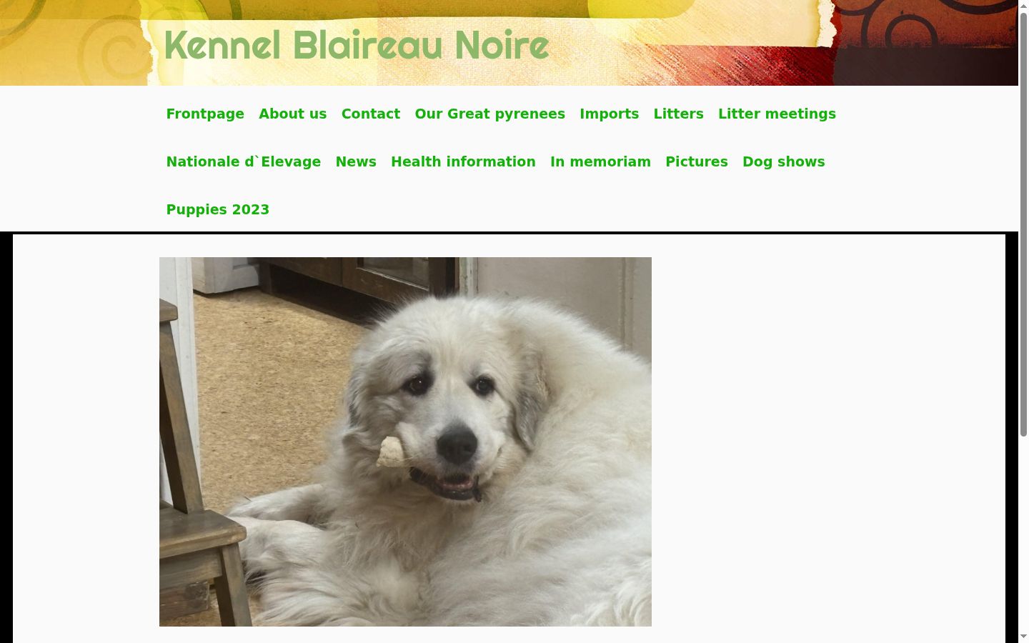 Capture d'écran de la bannière de consentement affichée avant toute interaction