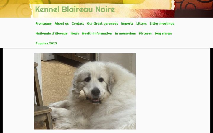 Capture d'écran de blaireaunoire.fi