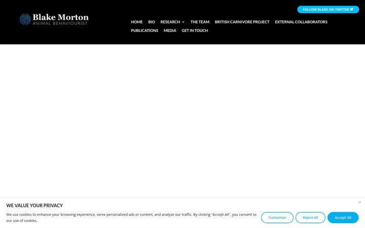 Screenshot of blakemorton.co.uk