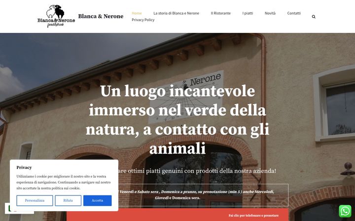 Screenshot of blancaenerone.it